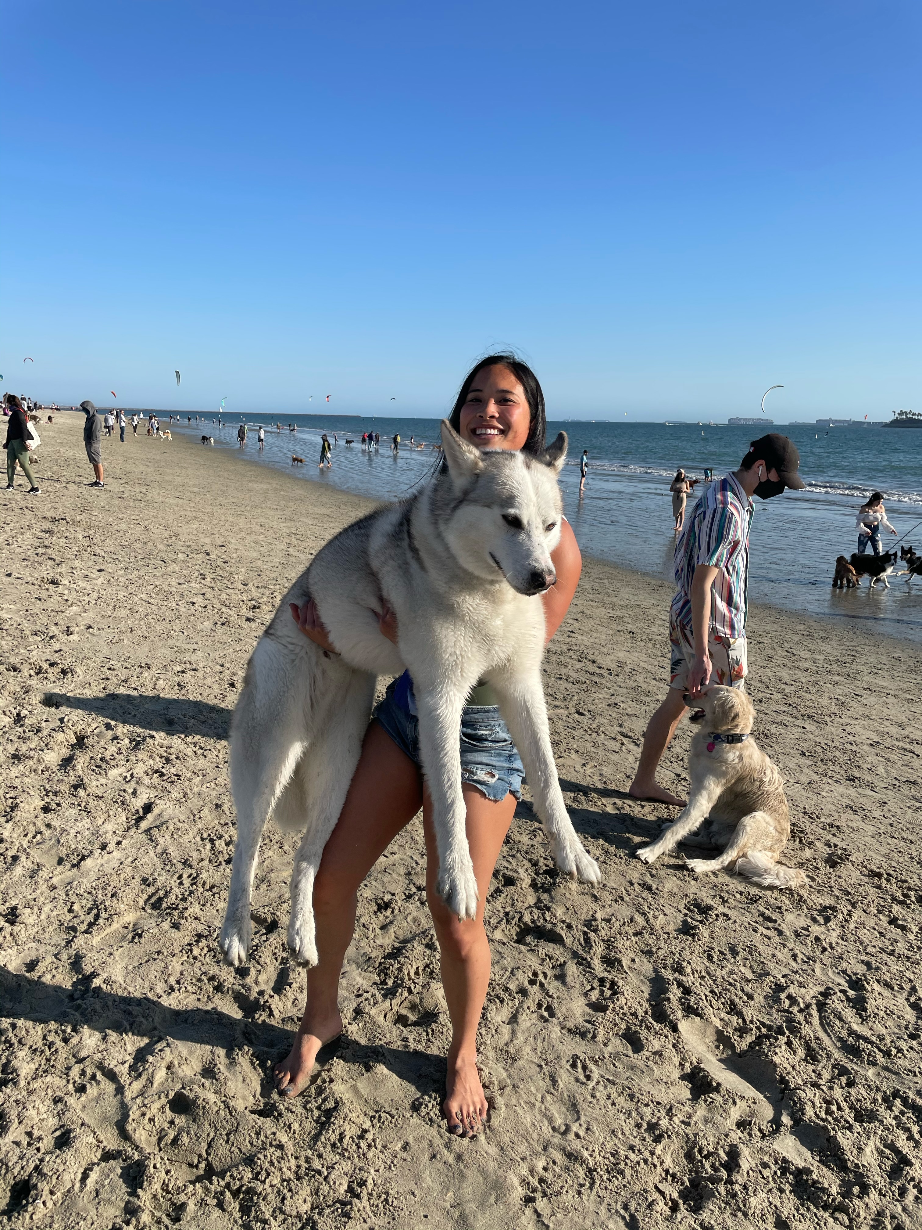 A woman stands on the beach holding her large, husky-type dog. The dog looks humorously unamused while the woman smiles wide.